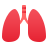 lungs